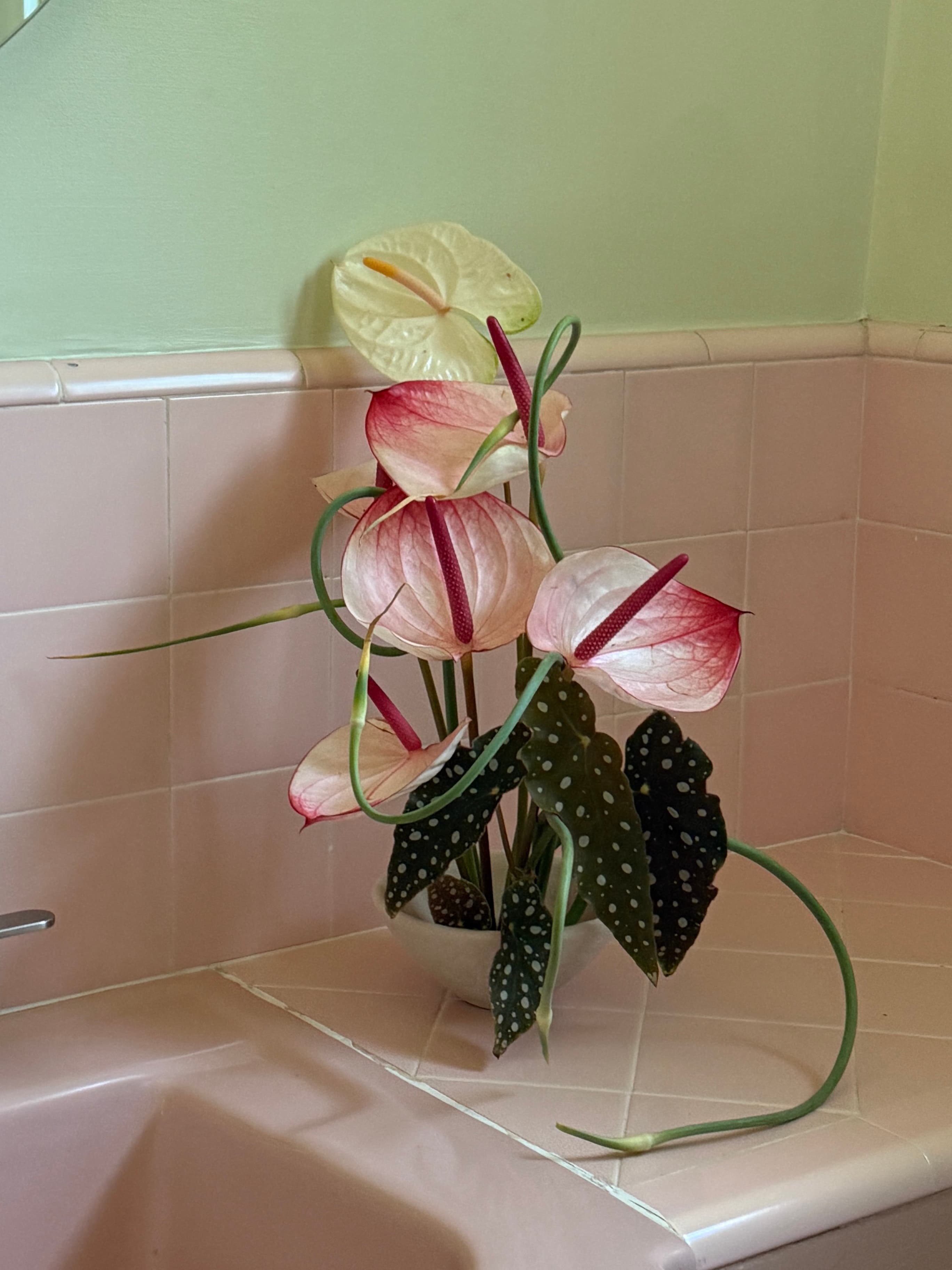 gentle offerings arrangement